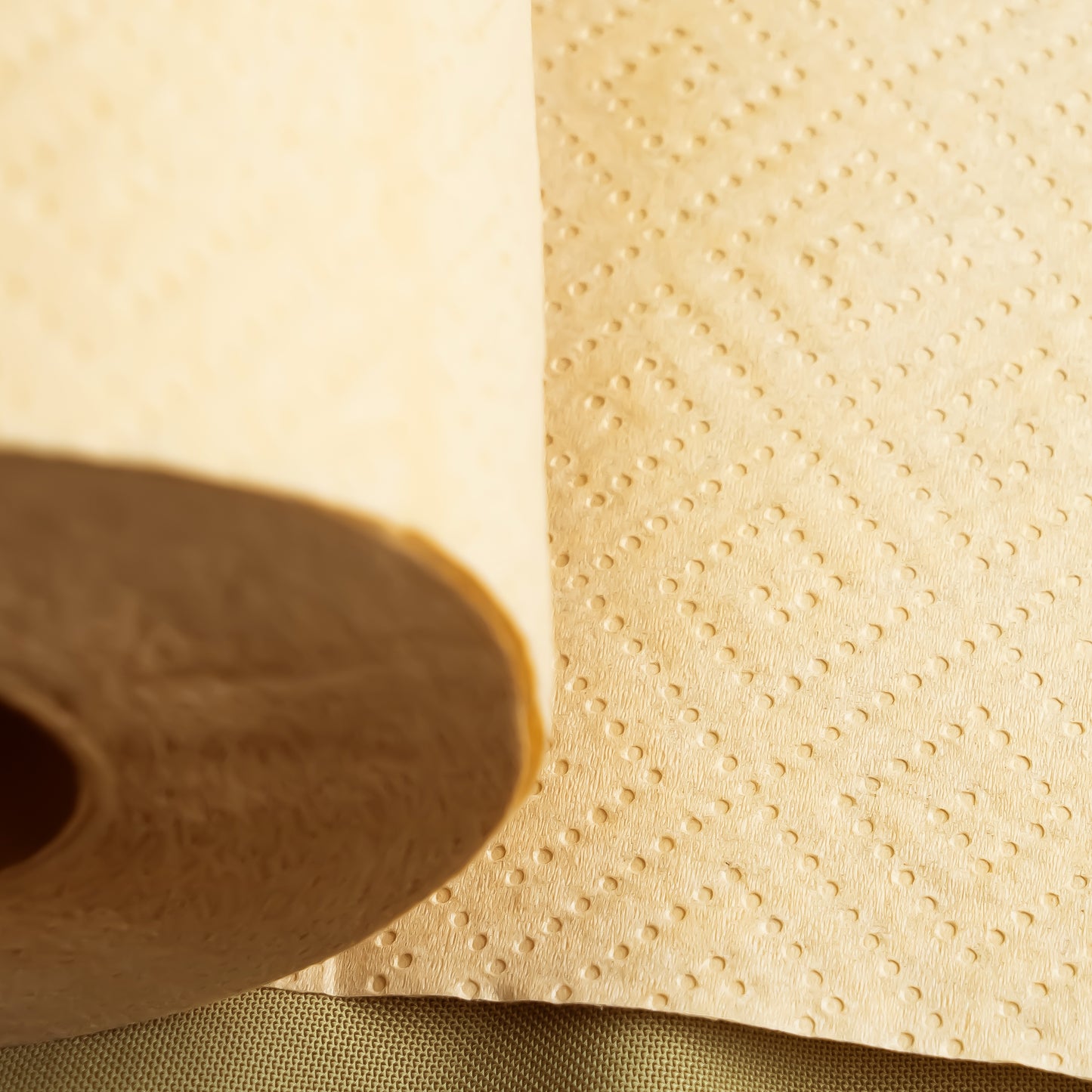 Panda Eco Paper | Bamboo Paper Towels